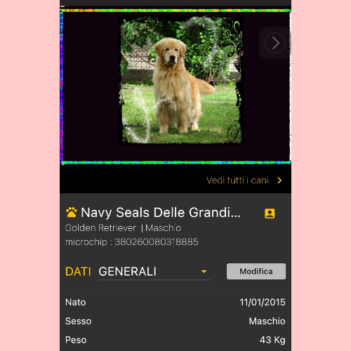 Scheda del Cane