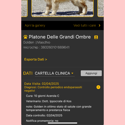 Cartella Clinica
