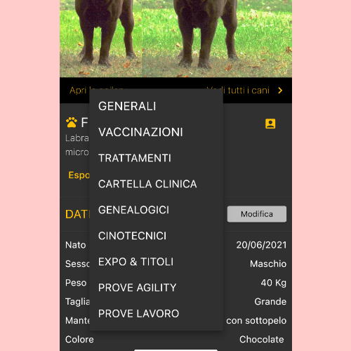 Libretto Digitale