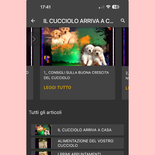 Educazione Cucciolo