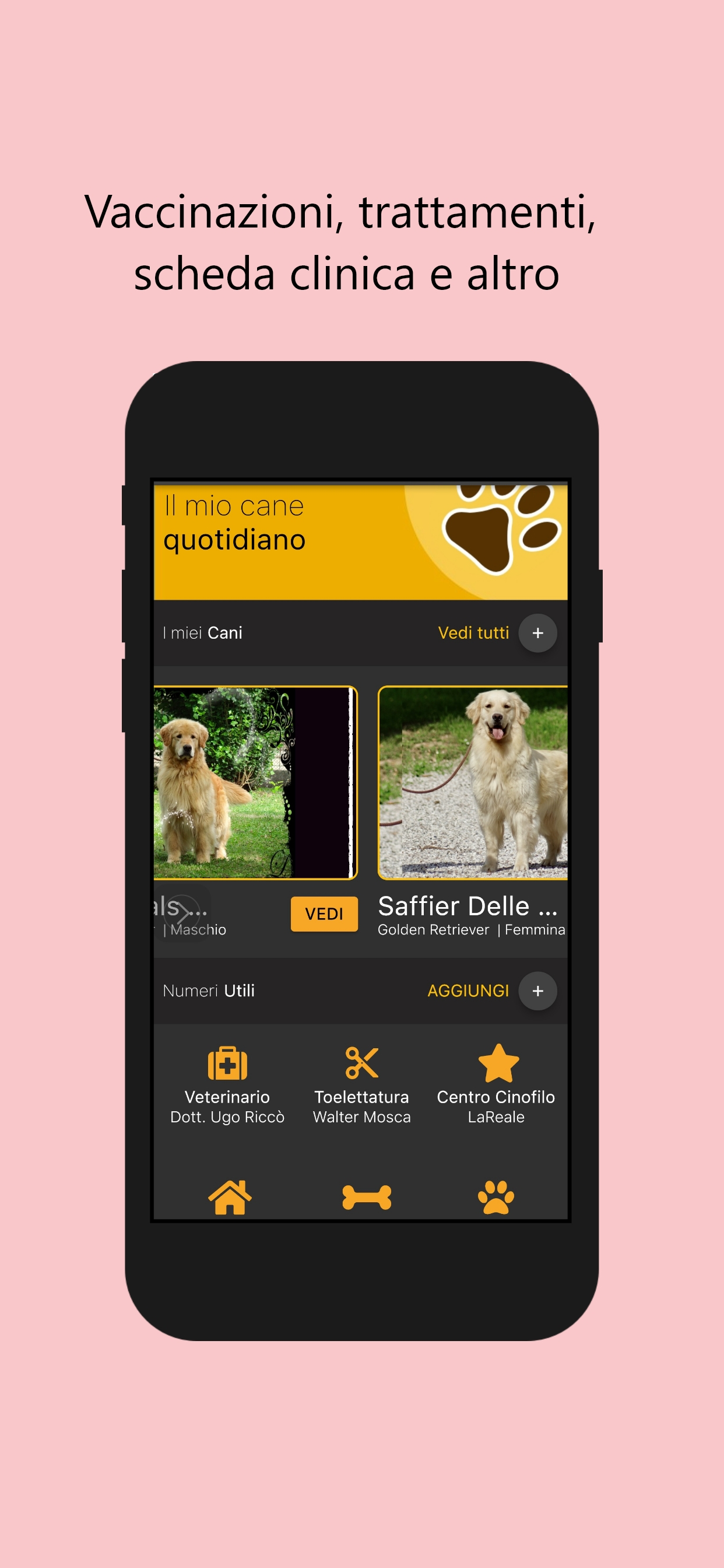 Immagine 2